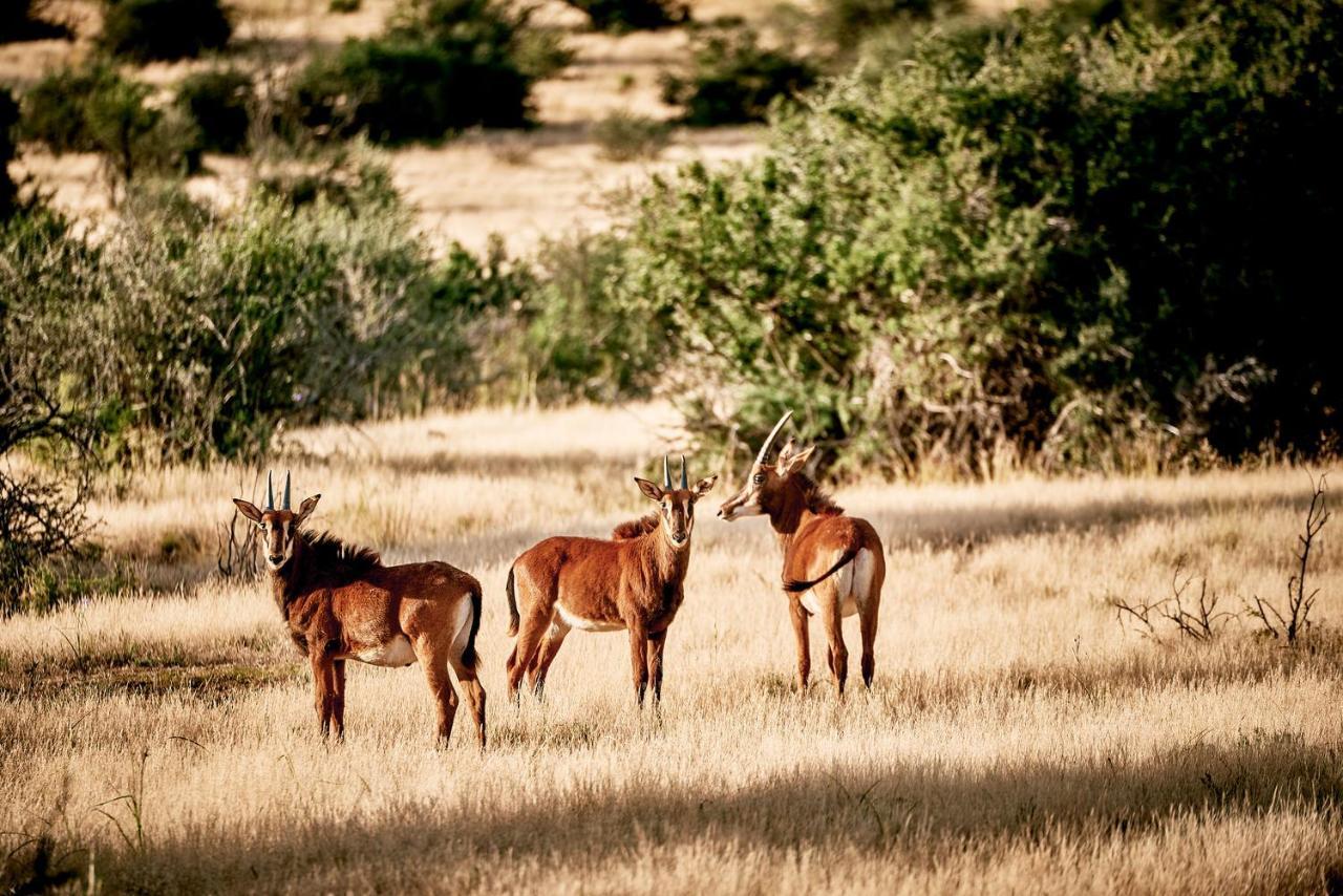 Glen Harry Game Reserve Graaff-Reinet 외부 사진