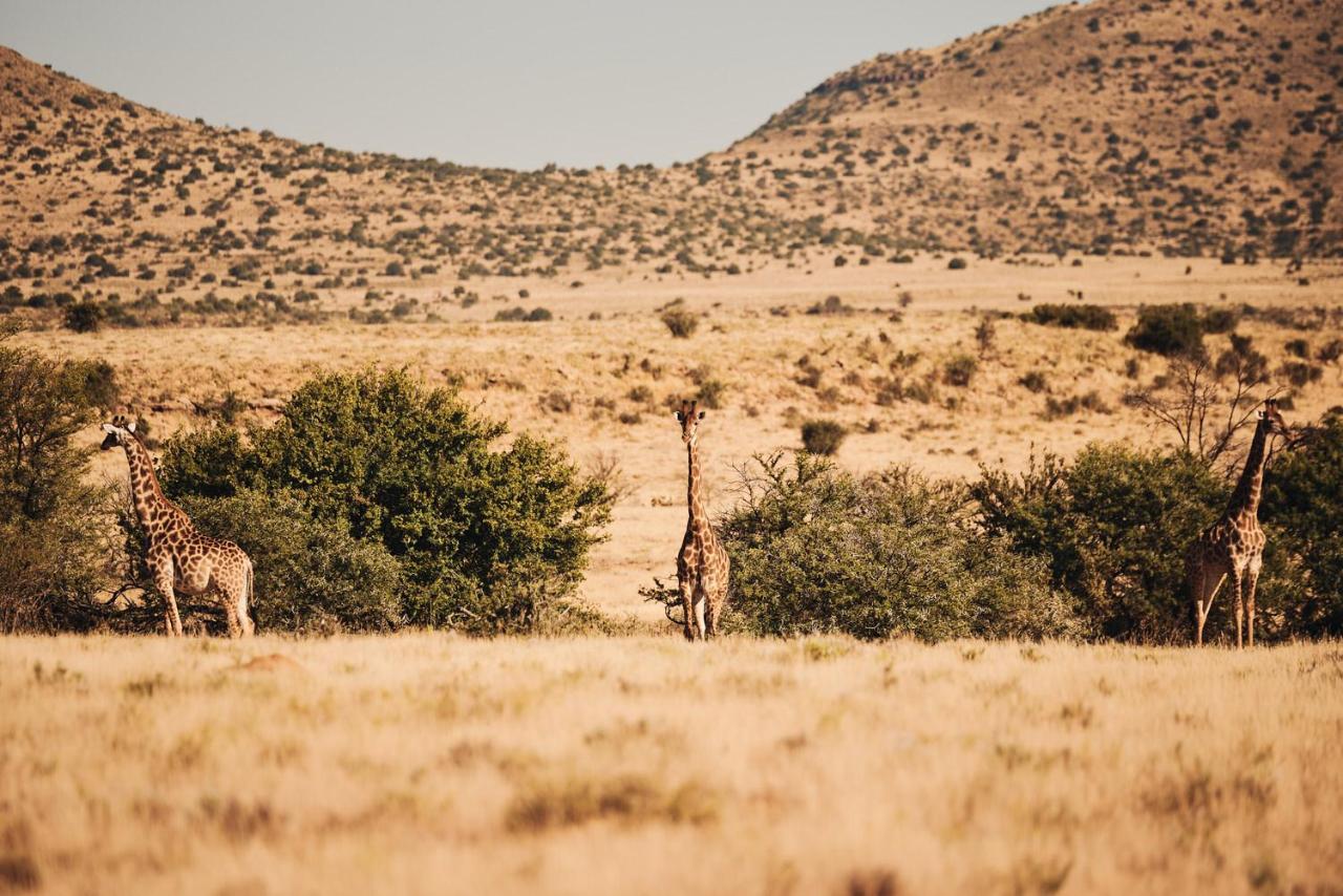 Glen Harry Game Reserve Graaff-Reinet 외부 사진